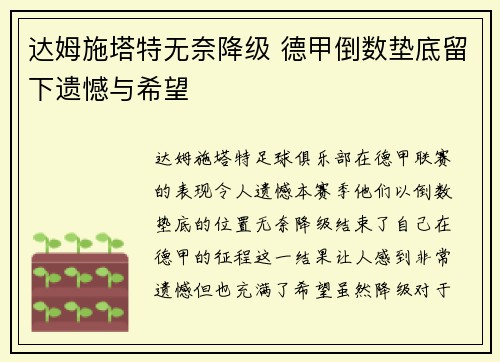 达姆施塔特无奈降级 德甲倒数垫底留下遗憾与希望